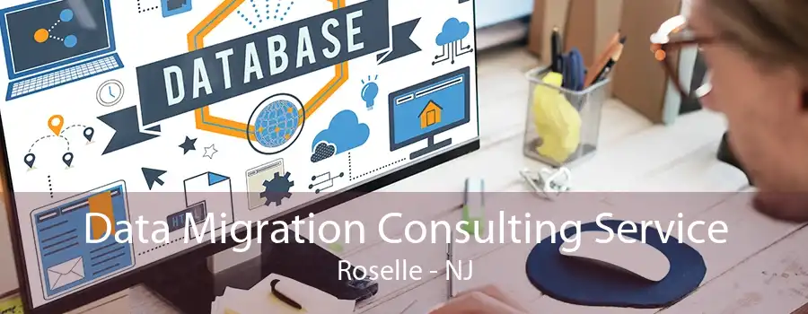Data Migration Consulting Service Roselle - NJ