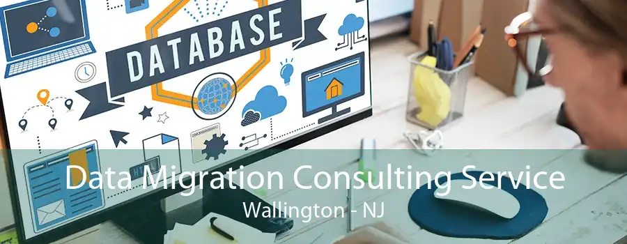 Data Migration Consulting Service Wallington - NJ