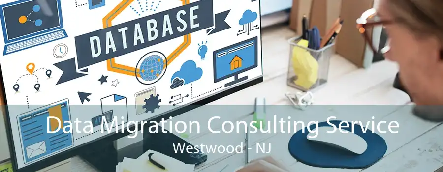 Data Migration Consulting Service Westwood - NJ