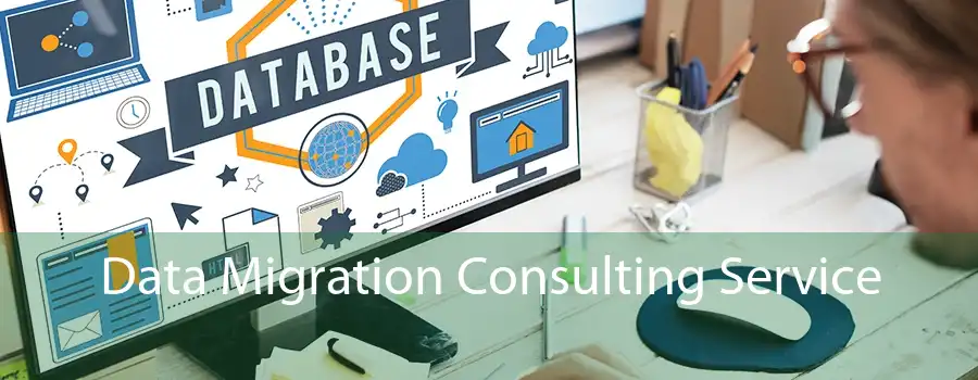 Data Migration Consulting Service 