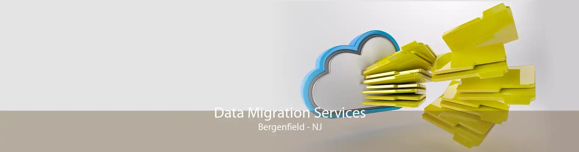 Data Migration Services Bergenfield - NJ