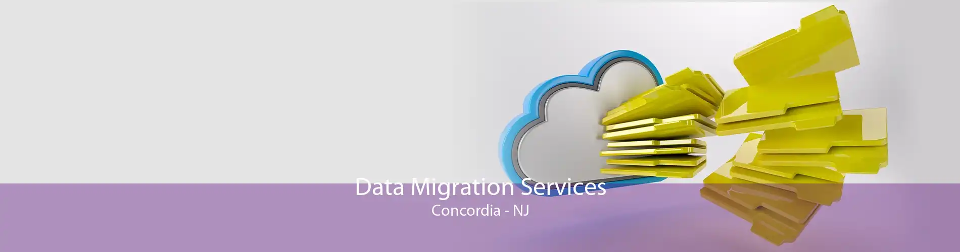 Data Migration Services Concordia - NJ