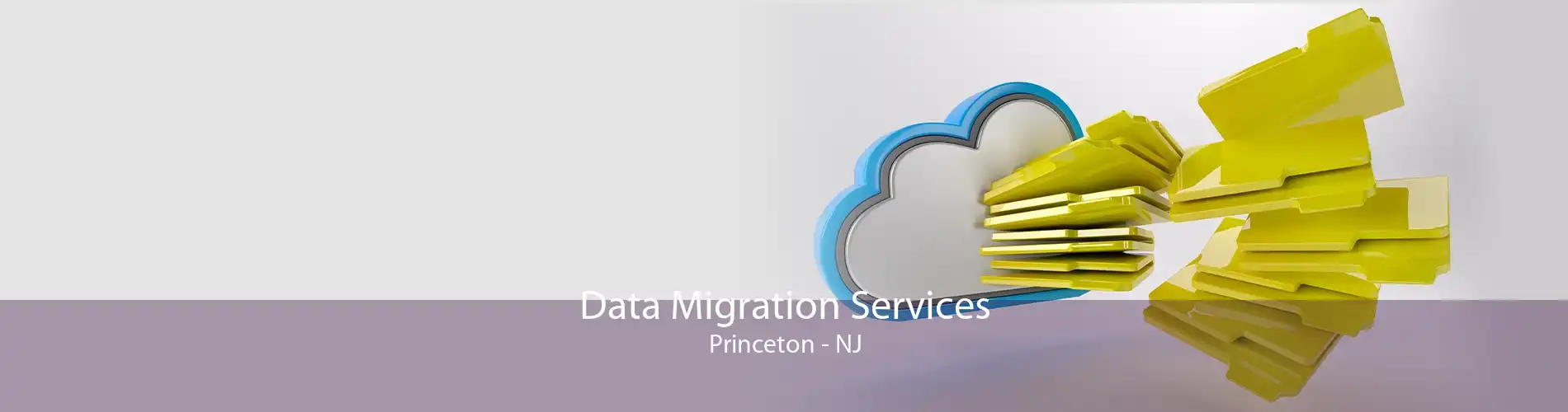 Data Migration Services Princeton - NJ