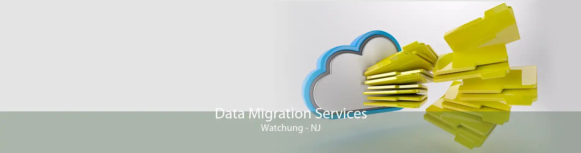 Data Migration Services Watchung - NJ
