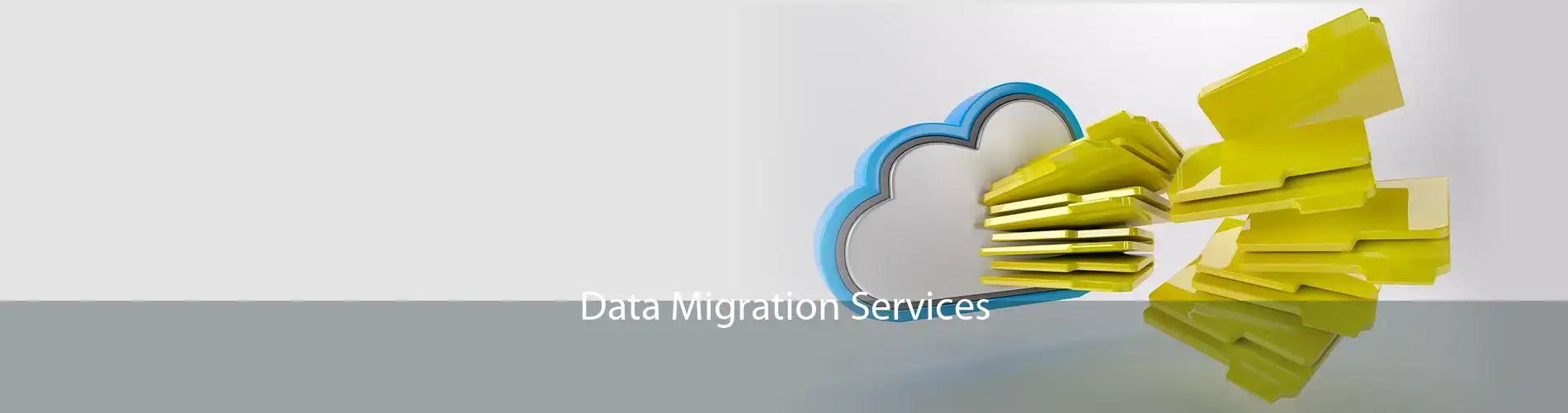 Data Migration Services 