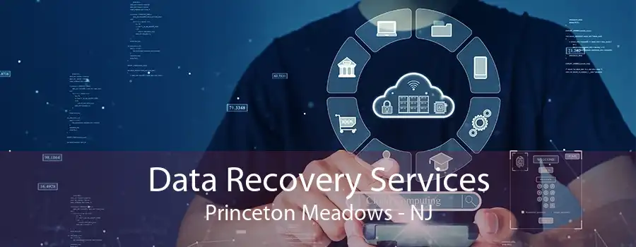 Data Recovery Services Princeton Meadows - NJ