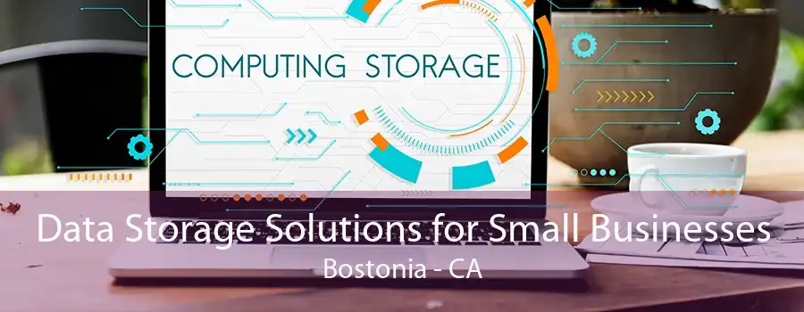 Data Storage Solutions for Small Businesses Bostonia - CA