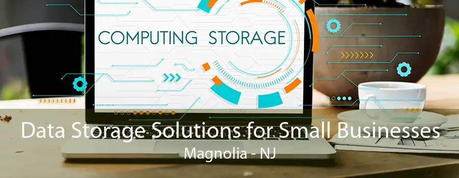 Data Storage Solutions for Small Businesses Magnolia - NJ