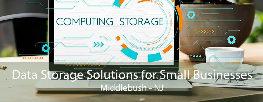 Data Storage Solutions for Small Businesses Middlebush - NJ