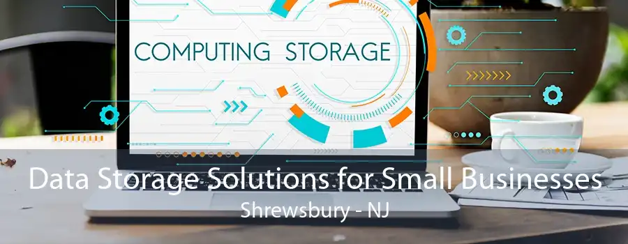 Data Storage Solutions for Small Businesses Shrewsbury - NJ