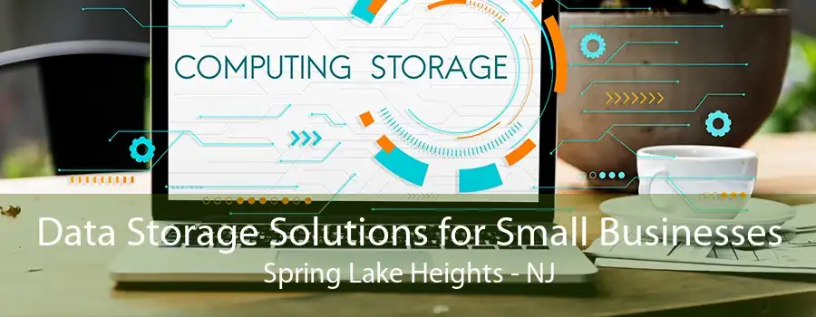 Data Storage Solutions for Small Businesses Spring Lake Heights - NJ