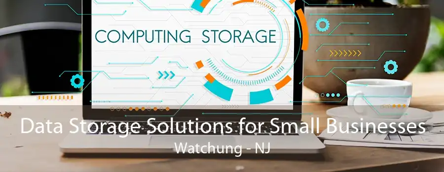 Data Storage Solutions for Small Businesses Watchung - NJ