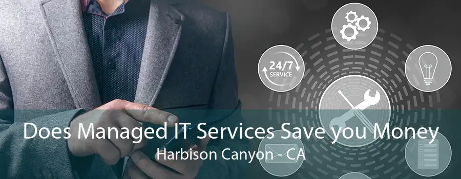 Does Managed IT Services Save you Money Harbison Canyon - CA