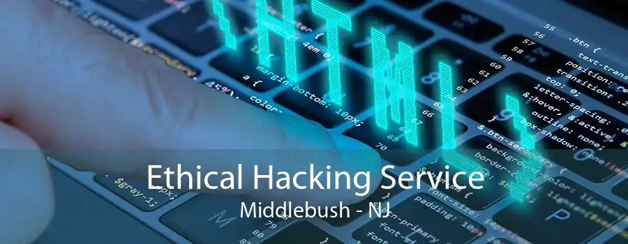 Ethical Hacking Service Middlebush - NJ