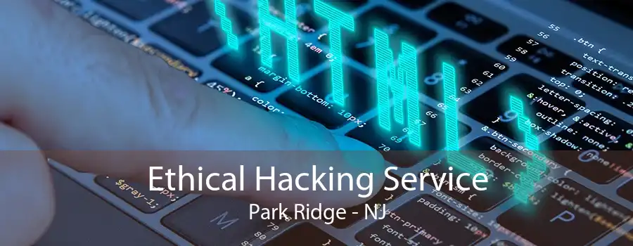 Ethical Hacking Service Park Ridge - NJ