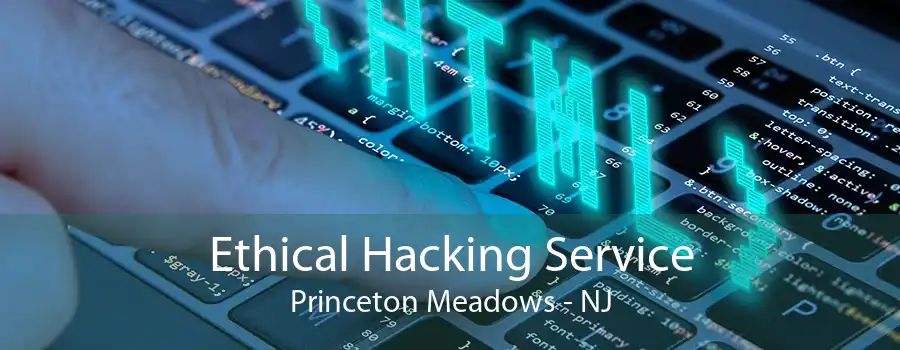 Ethical Hacking Service Princeton Meadows - NJ