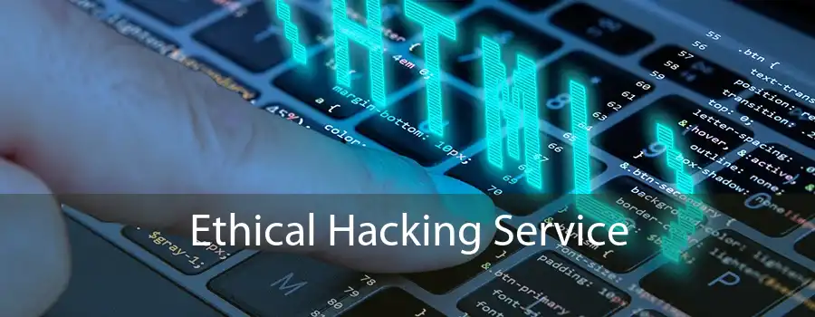 Ethical Hacking Service 