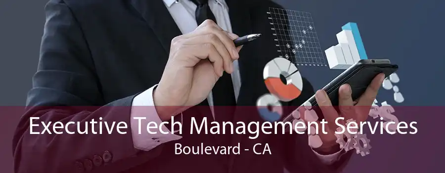 Executive Tech Management Services Boulevard - CA