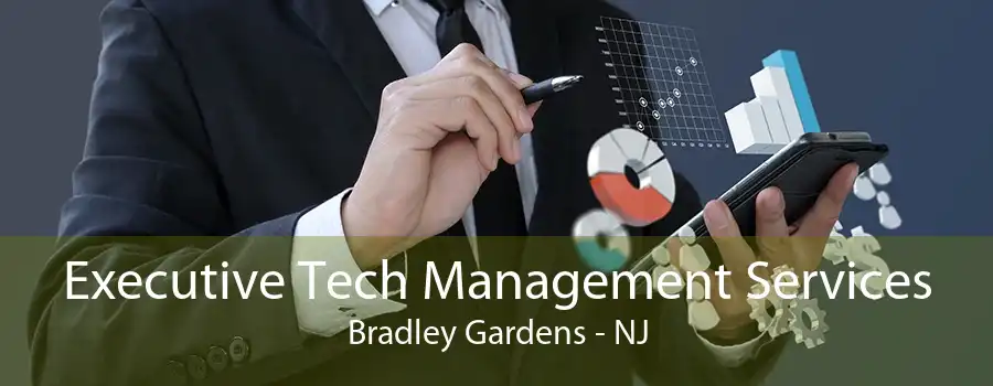 Executive Tech Management Services Bradley Gardens - NJ