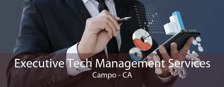 Executive Tech Management Services Campo - CA