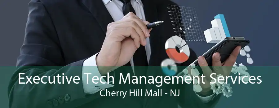 Executive Tech Management Services Cherry Hill Mall - NJ