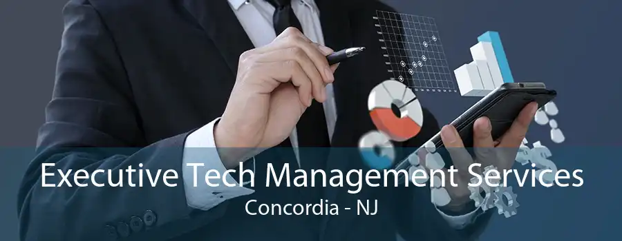 Executive Tech Management Services Concordia - NJ