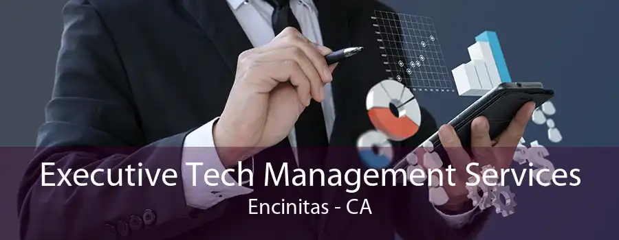Executive Tech Management Services Encinitas - CA