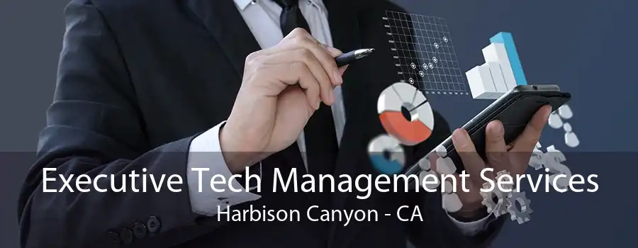 Executive Tech Management Services Harbison Canyon - CA