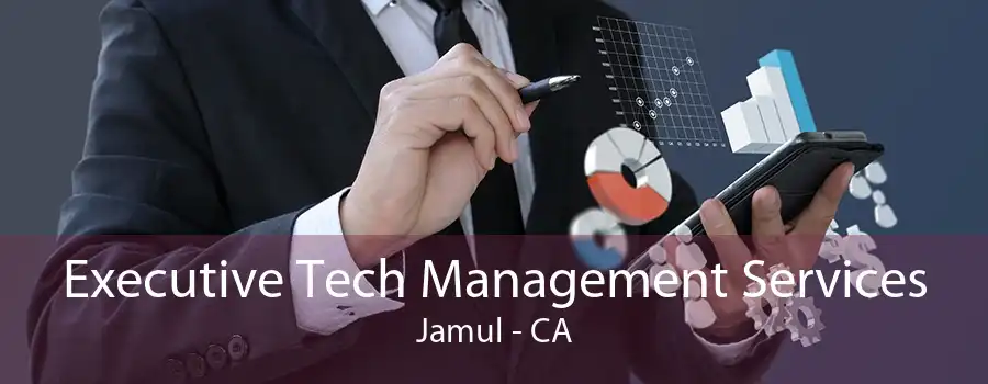 Executive Tech Management Services Jamul - CA