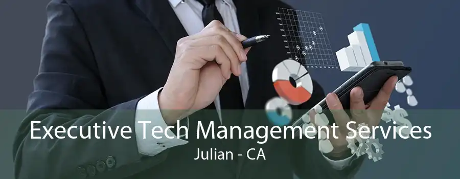 Executive Tech Management Services Julian - CA