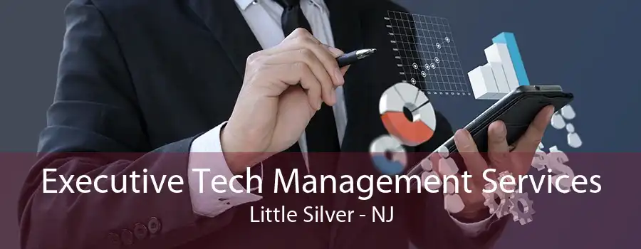 Executive Tech Management Services Little Silver - NJ