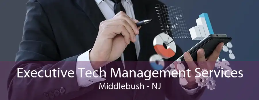 Executive Tech Management Services Middlebush - NJ