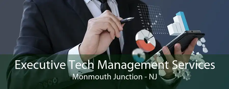 Executive Tech Management Services Monmouth Junction - NJ