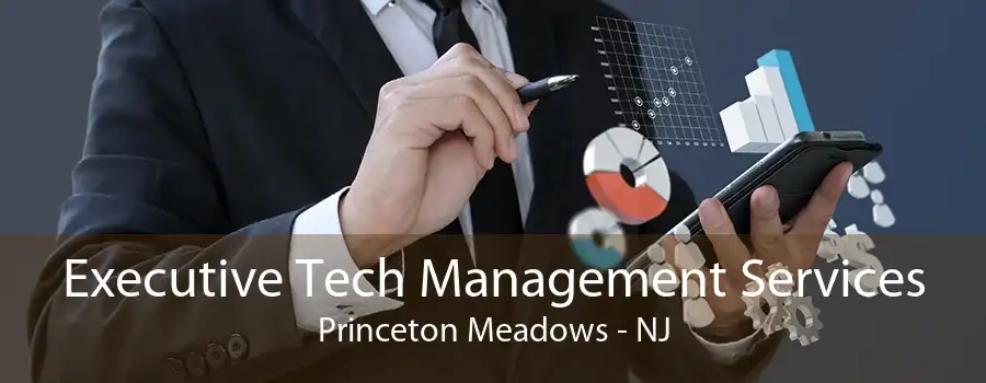 Executive Tech Management Services Princeton Meadows - NJ