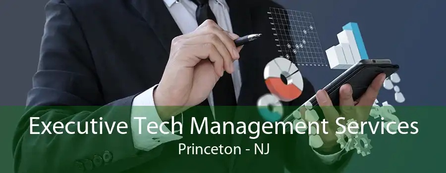 Executive Tech Management Services Princeton - NJ