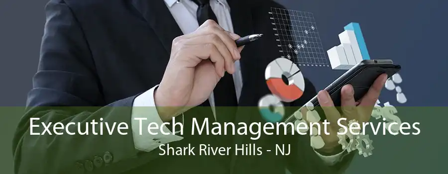 Executive Tech Management Services Shark River Hills - NJ