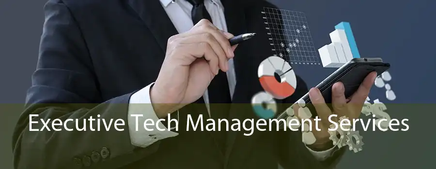 Executive Tech Management Services 