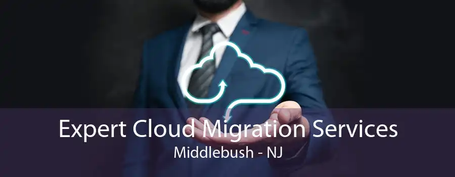 Expert Cloud Migration Services Middlebush - NJ