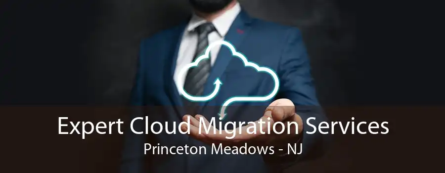Expert Cloud Migration Services Princeton Meadows - NJ