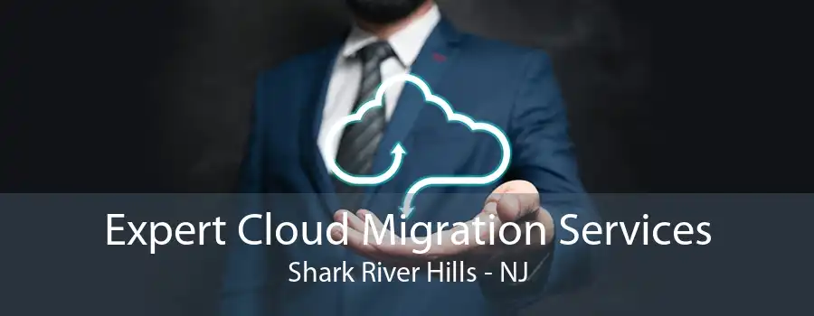 Expert Cloud Migration Services Shark River Hills - NJ