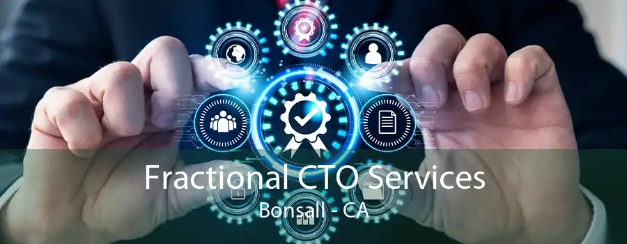 Fractional CTO Services Bonsall - CA