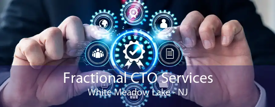 Fractional CTO Services White Meadow Lake - NJ