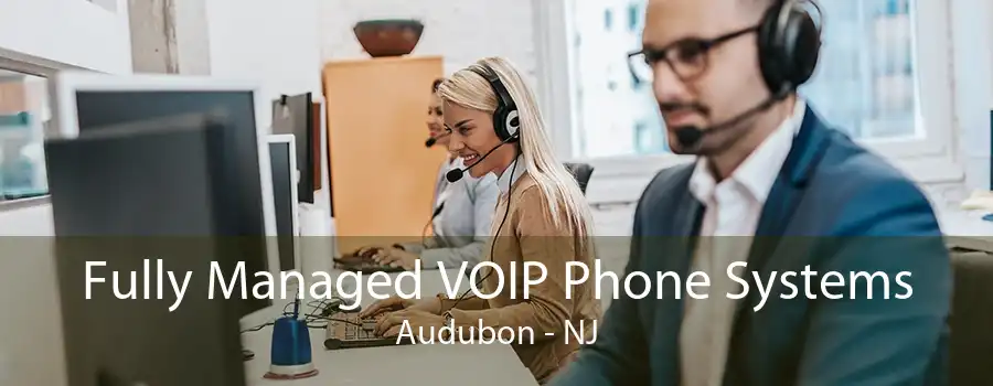 Fully Managed VOIP Phone Systems Audubon - NJ