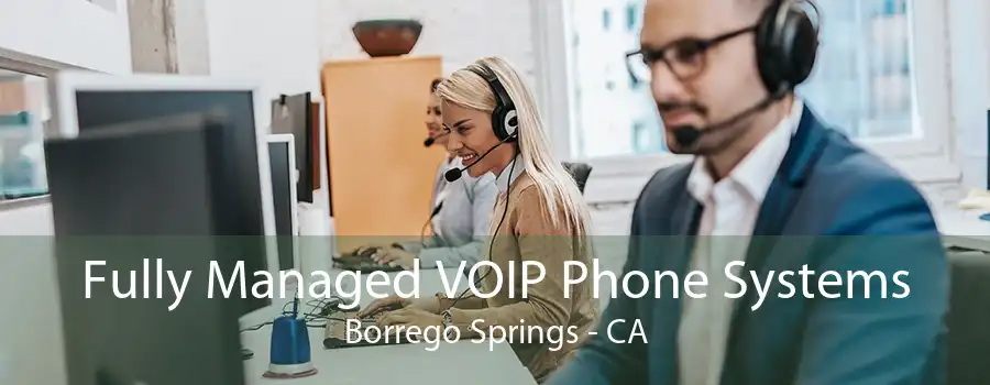 Fully Managed VOIP Phone Systems Borrego Springs - CA