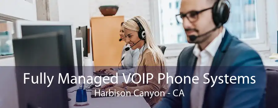 Fully Managed VOIP Phone Systems Harbison Canyon - CA