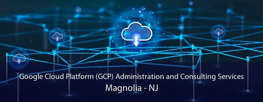 Google Cloud Platform (GCP) Administration and Consulting Services Magnolia - NJ