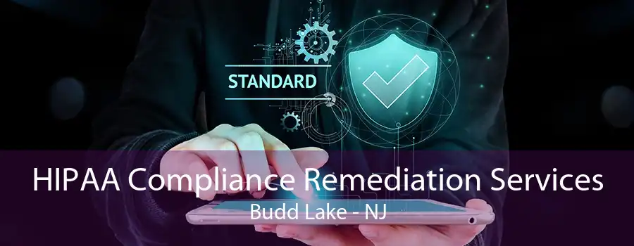 HIPAA Compliance Remediation Services Budd Lake - NJ