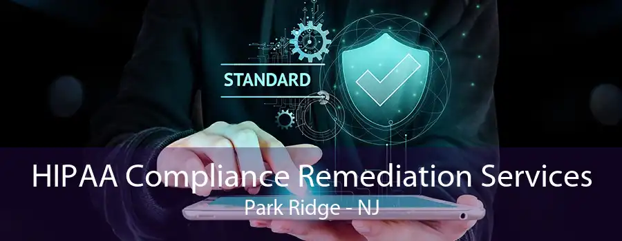 HIPAA Compliance Remediation Services Park Ridge - NJ