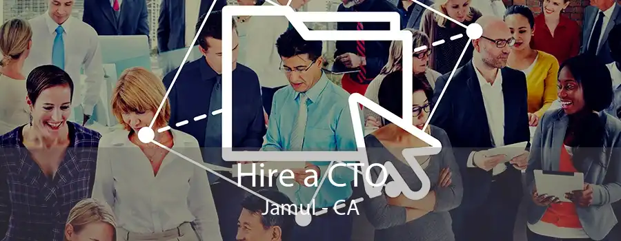 Hire a CTO Jamul - CA