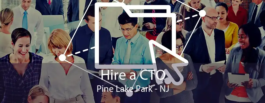 Hire a CTO Pine Lake Park - NJ